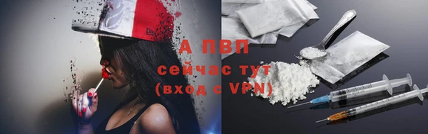 крисы Белокуриха