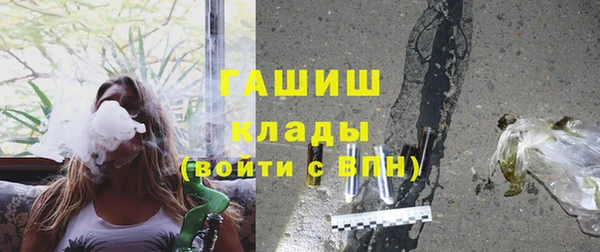 крисы Белокуриха