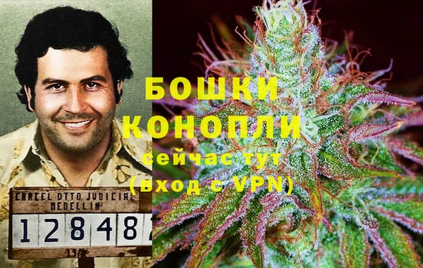 крисы Белокуриха